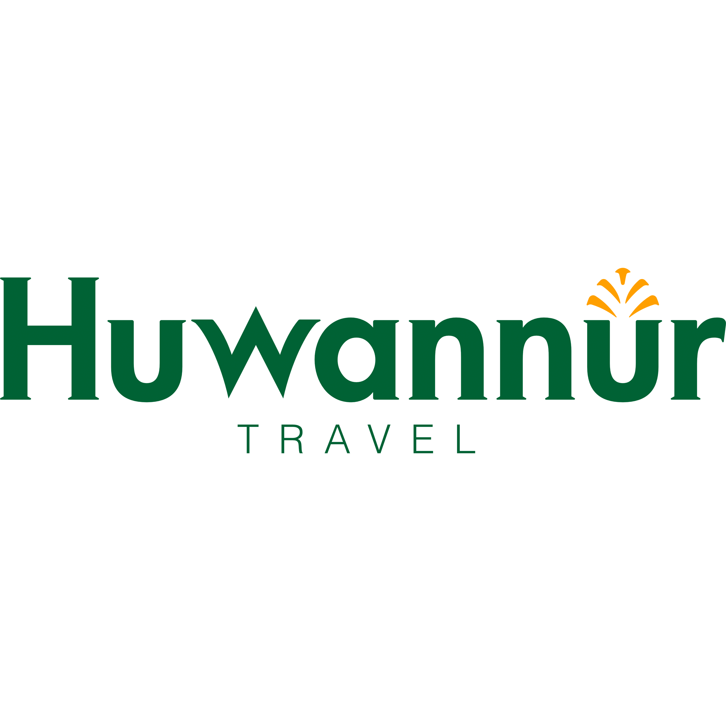 TRAVEL HUWANNUR